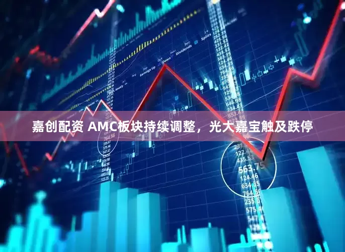 嘉创配资 AMC板块持续调整，光大嘉宝触及跌停
