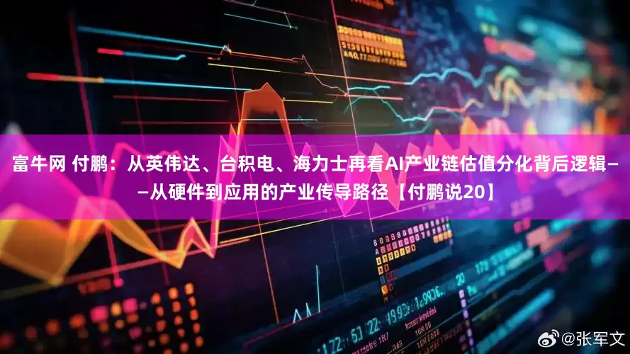 富牛网 付鹏：从英伟达、台积电、海力士再看AI产业链估值分化背后逻辑——从硬件到应用的产业传导路径【付鹏说20】