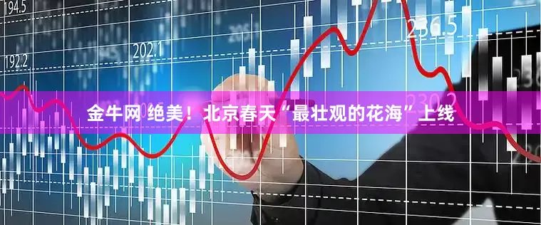 金牛网 绝美！北京春天“最壮观的花海”上线